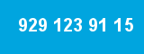 929 123 91 15